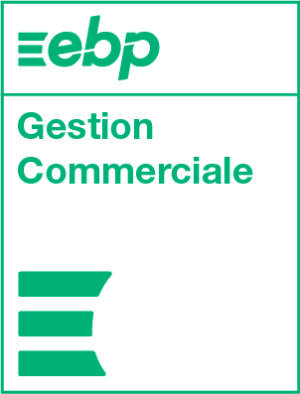 AFI revendeur intégrateur logiciel EBP Gestion Commerciale Elite Reunion 974 Mayotte 976 centre expert elite