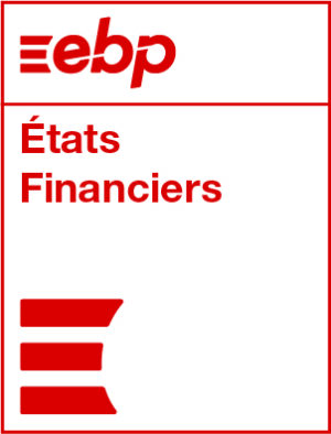 AFI revendeur intégrateur logiciel EBP Etat Financier Elite 974 976